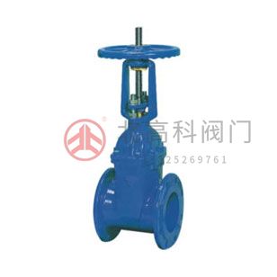 Z45X-10、Z45X-16 彈性座封閘閥